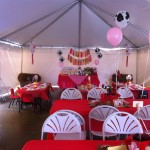 Farm Barnyard birthday party pictures