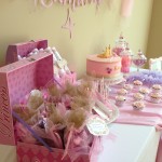 Chic Princess party pictures in Atlanta