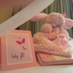 spring butterfly baby shower  (117)
