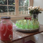 spring butterfly baby shower  (147)