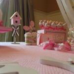 spring butterfly baby shower  (31)
