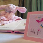 spring butterfly baby shower  (64)