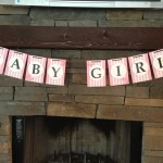 spring butterfly baby shower  (92)