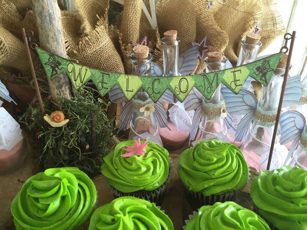 PIRATES AND FAIRIES Birthday Party